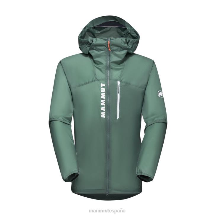 Mammut hombres ropa chaqueta con capucha aenergy wb FZHP634 jade oscuro