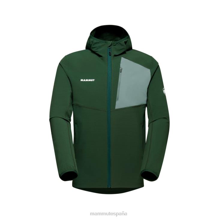 Mammut hombres ropa chaqueta con capucha madris light ml FZHP7 bosque