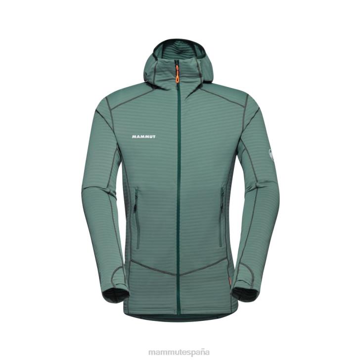 Mammut hombres ropa chaqueta con capucha taiss light ml FZHP637 maderas de jade oscuro